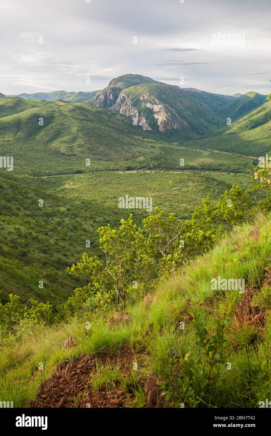 Ithala Game Reserve ist ein Naturschutzgebiet in der Provinz KwaZulu-Natal, Südafrika, wo eine Vielzahl von Wildtieren und landschaftlich reizvollen Landschaften beheimatet sind. Stockfoto