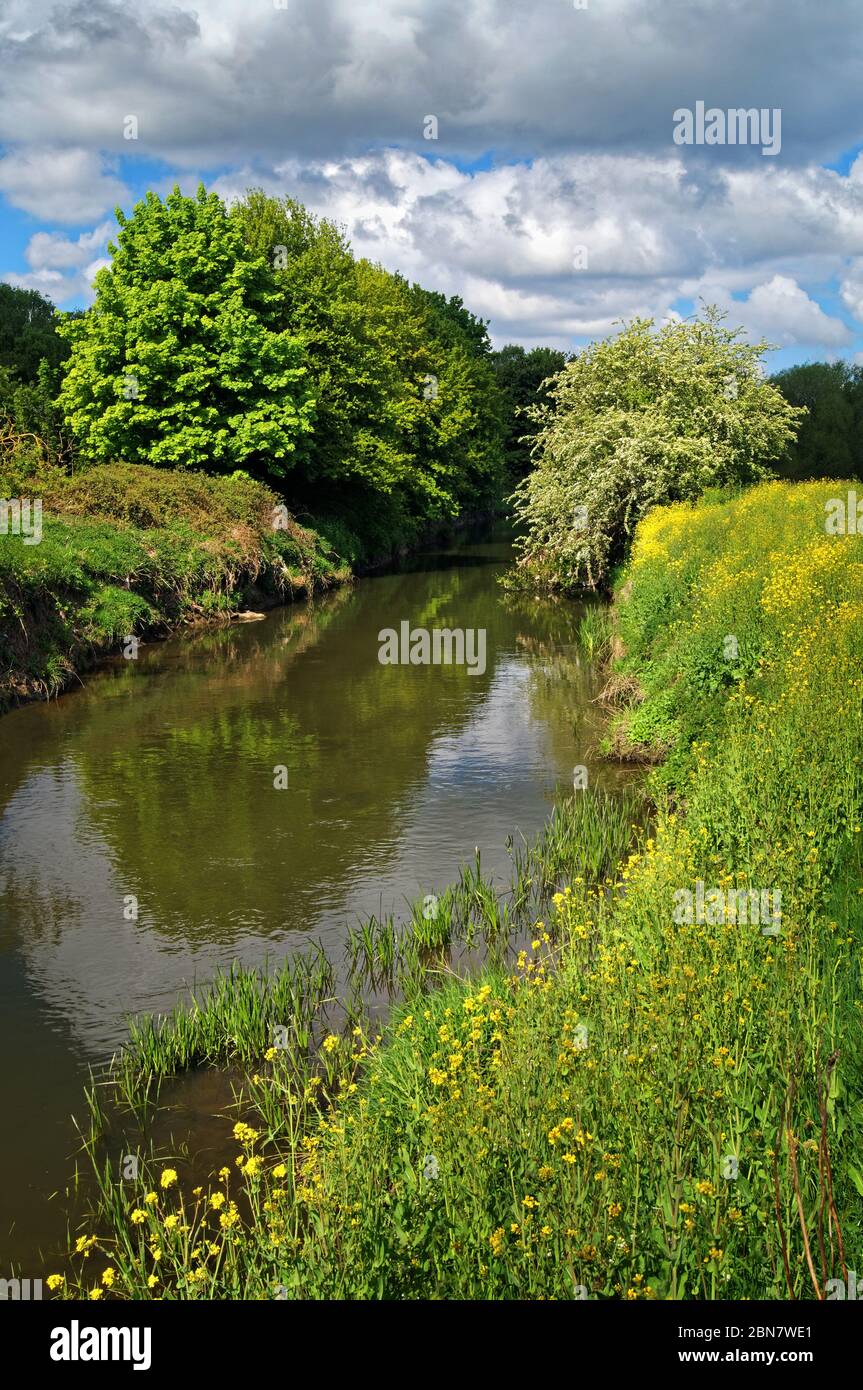 Großbritannien, South Yorkshire, Barnsley Canal in der Nähe des Dearne Valley Park Stockfoto