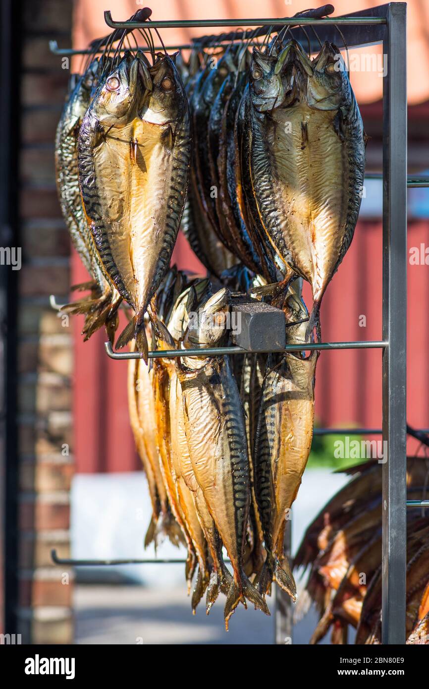 Trocken geräucherte Makrele frischer Fisch in einem Fischmarkt, vertikal Stockfoto