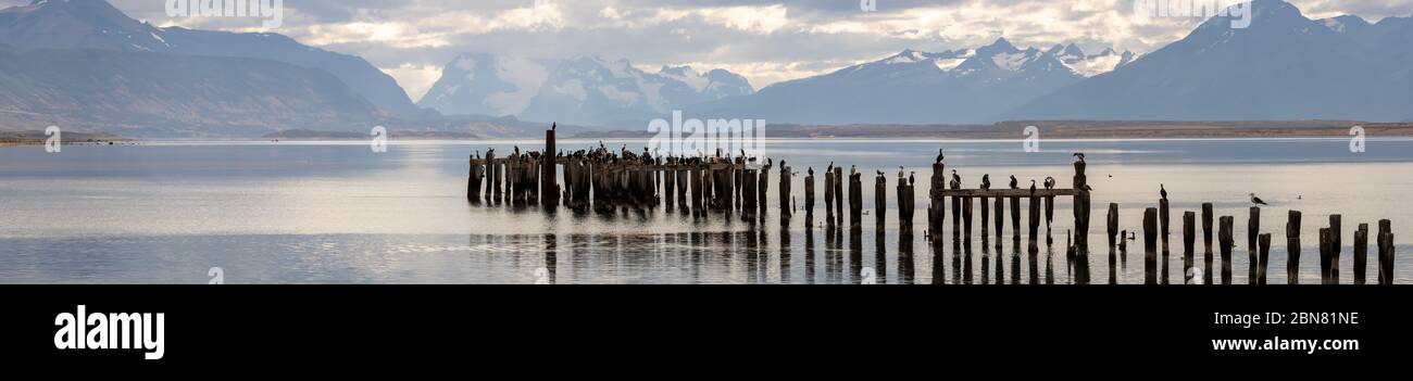 Holzpfosten von einem alten Pier, Puerto Natales, Patagonien, Chile, Cerro Monumento Moore im Hintergrund. Stockfoto