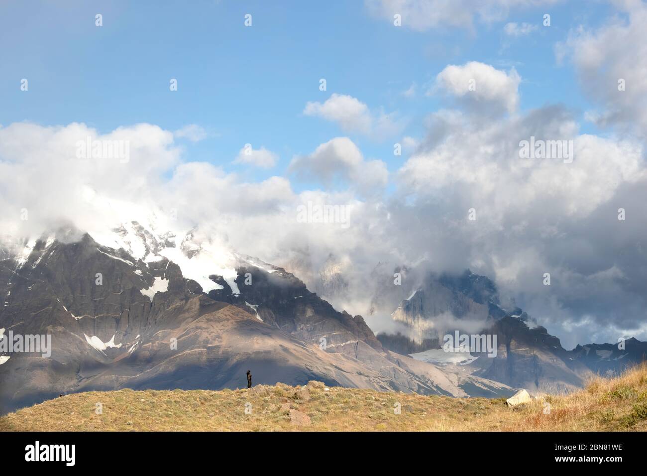 Scouting nach Pumas am Berghang, vor den Torres Del Paine, Magellanes, Chile Stockfoto