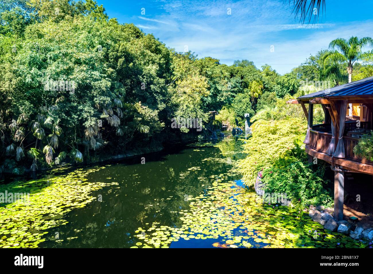 Pandora im Disney's Animal Kingdom Theme Park. Eine sehr immersive Welt, die auf der Welt Pandora von James Camerons Avatar basiert Stockfoto