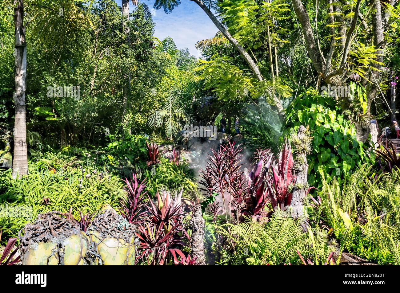 Pandora im Disney's Animal Kingdom Theme Park. Eine sehr immersive Welt, die auf der Welt Pandora von James Camerons Avatar basiert Stockfoto
