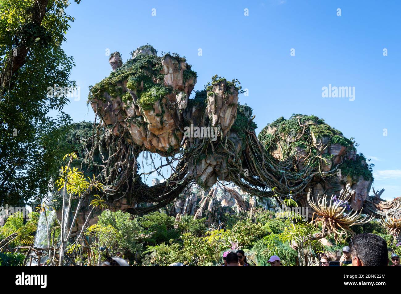 Pandora im Disney's Animal Kingdom Theme Park. Eine sehr immersive Welt, die auf der Welt Pandora von James Camerons Avatar basiert Stockfoto