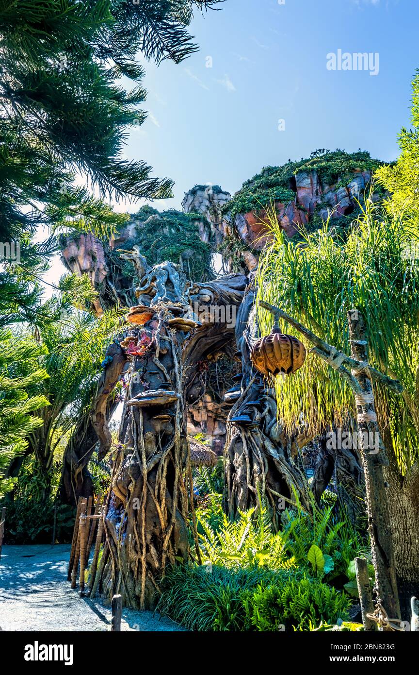 Pandora im Disney's Animal Kingdom Theme Park. Eine sehr immersive Welt, die auf der Welt Pandora von James Camerons Avatar basiert Stockfoto