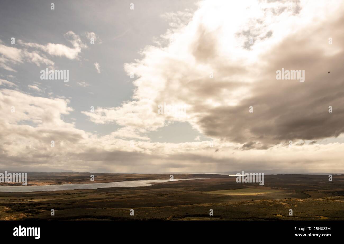 Ein einziger Kondor fliegt unter einer Wolke, wobei der Fitz Roy Kanal in der Ferne zum Seno Skyring Inlandsgeräusch führt. Magallanes Region, Chile Stockfoto