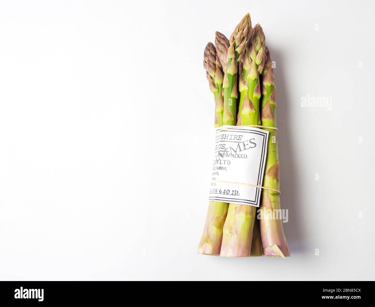 Ein Bund frischer Yorkshire Spargel aus einem Farmladen auf einem weißen Hintergrund mit Kopierraum isoliert Stockfoto