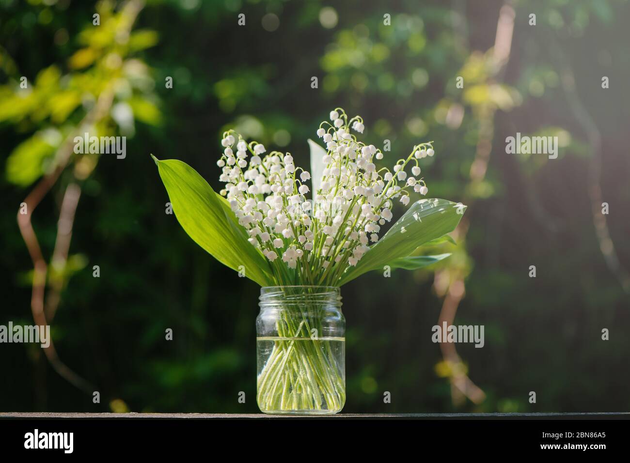 Schöne Eimer Lilie des Tals Blumen. Stockfoto