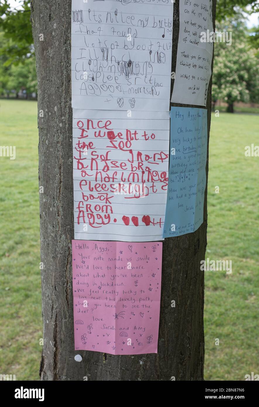 Nachrichten, die von Kindern an einander gesendet werden, die während der Sperrung der Coronavirus-Pandemie an einen Baumstamm im Clissaled Park, Stoke Newington, London, festgeklemmt wurden Stockfoto