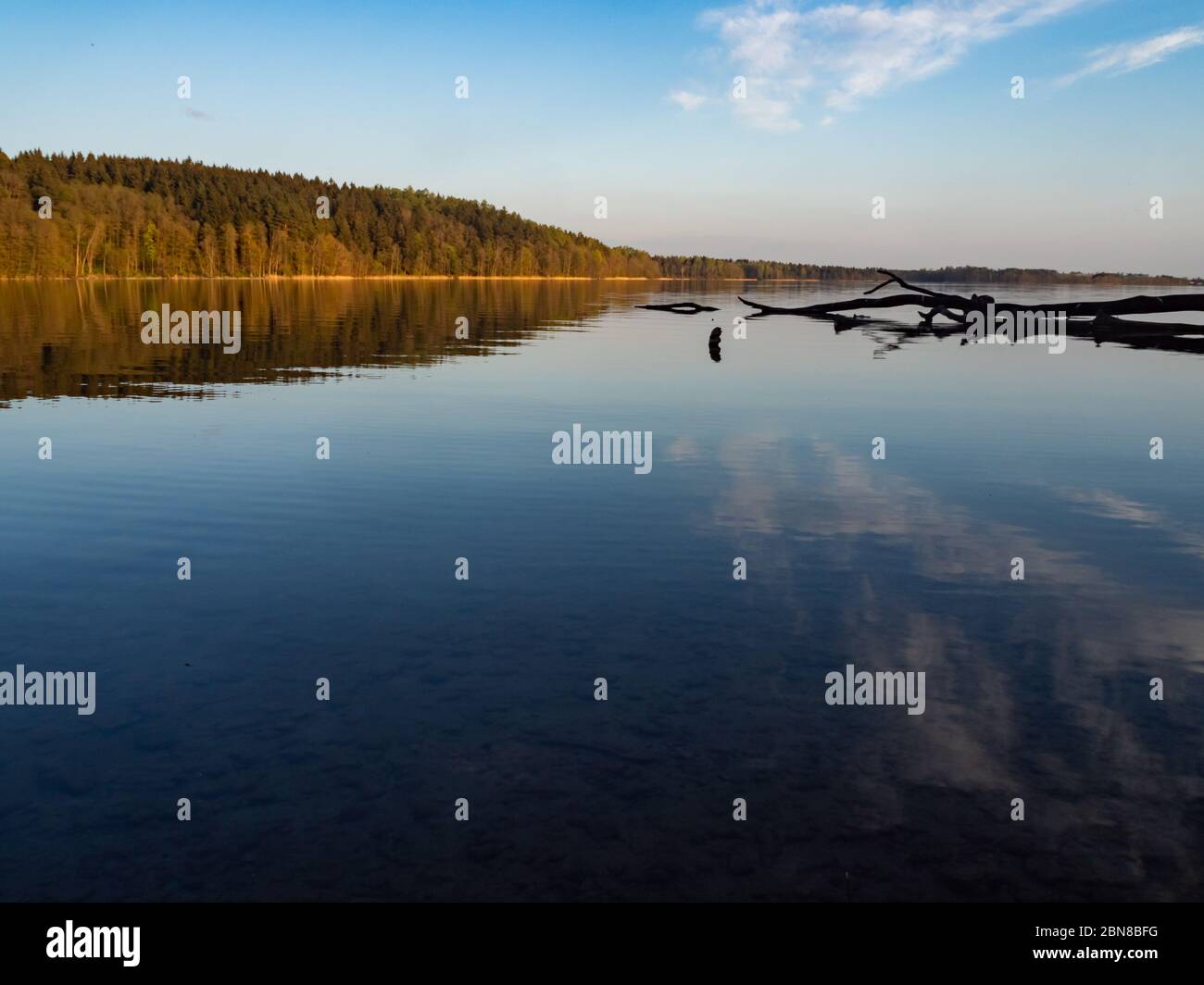 Hancza See, der tiefste See Polens. Sonniger Tag, später Nachmittag, Himmel im Wasser. Suwalski Landschaftspark, Podlaskie, Polen Stockfoto