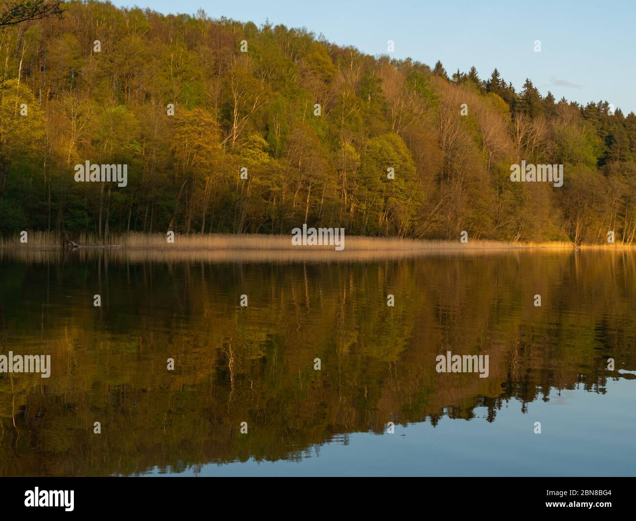 Hancza See, der tiefste See Polens. Sonniger Tag, später Nachmittag, Himmel im Wasser. Suwalski Landschaftspark, Podlaskie, Polen Stockfoto