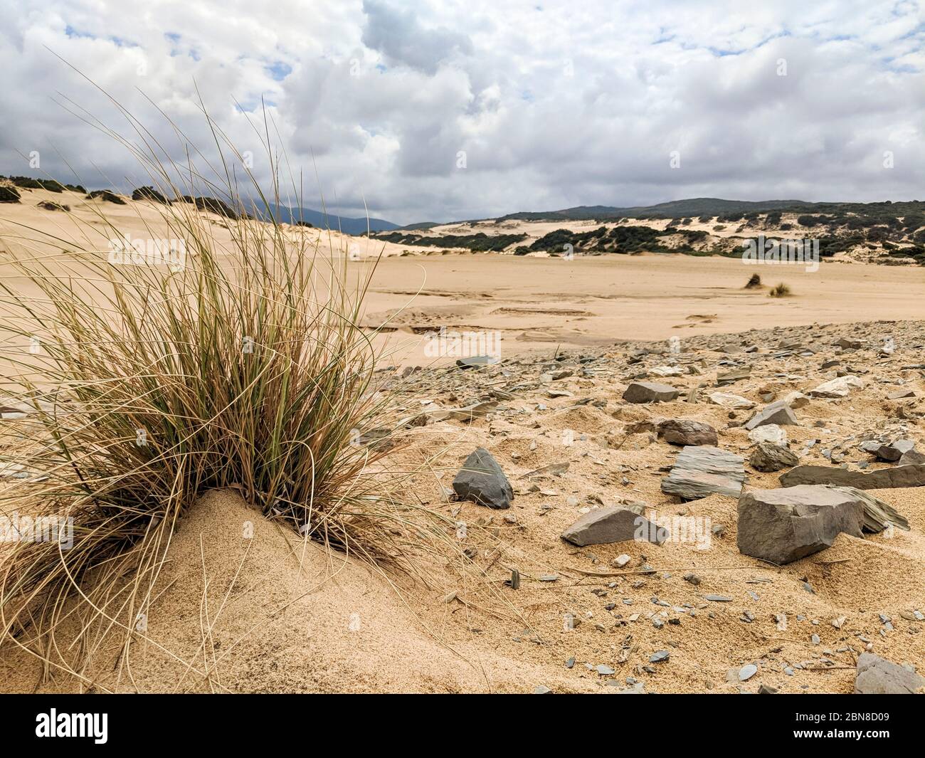 Die wunderbare Oase Piscinas, mit imposanten und gewundenen Dünen von feinem, warmen goldenen Sand, als einer der schönsten in der Welt Stockfoto