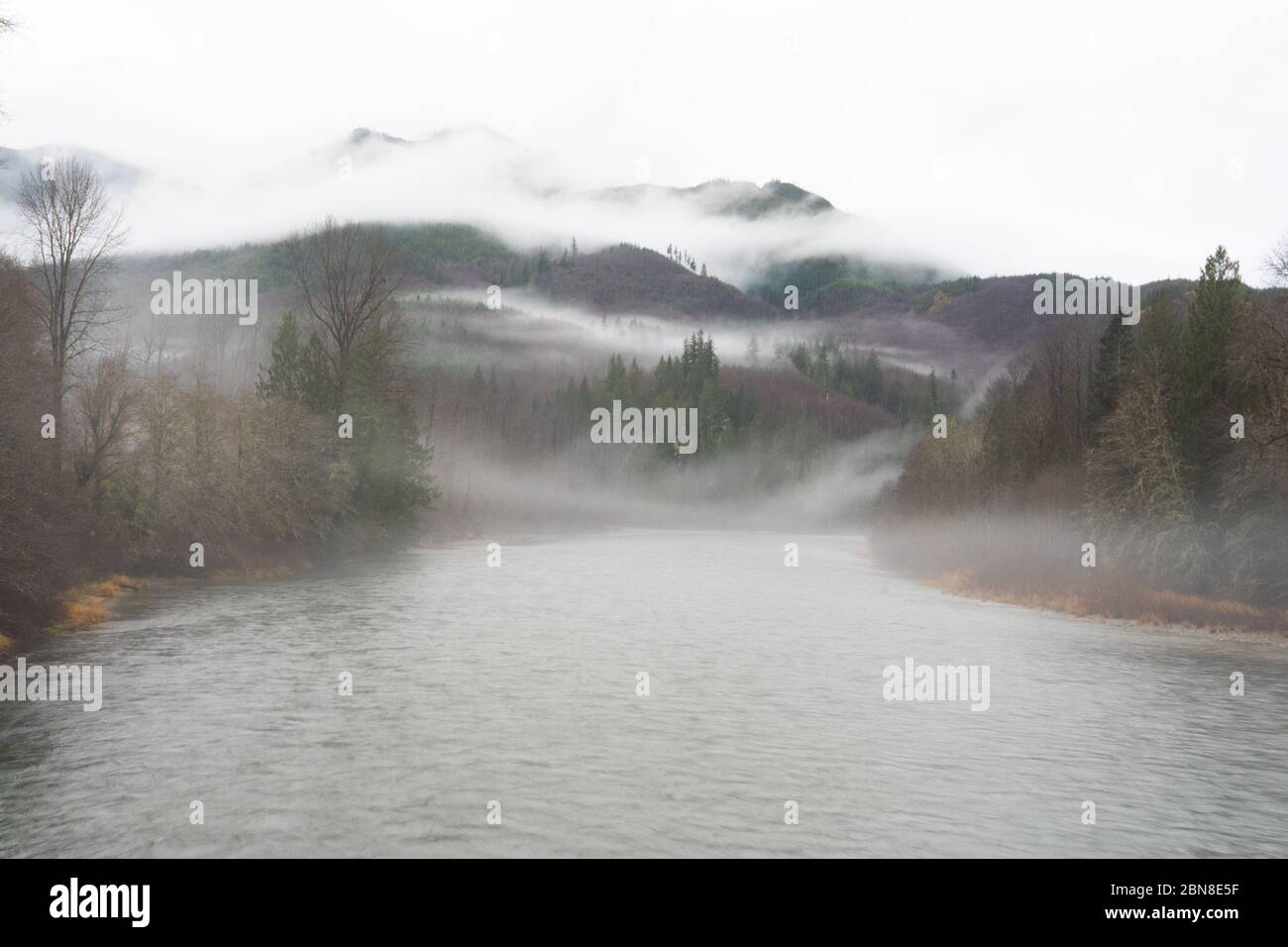 Früher nebliger Morgen im Skagit Fluss in der Nähe der Stadt Beton im Skagit County North Washington. Stockfoto