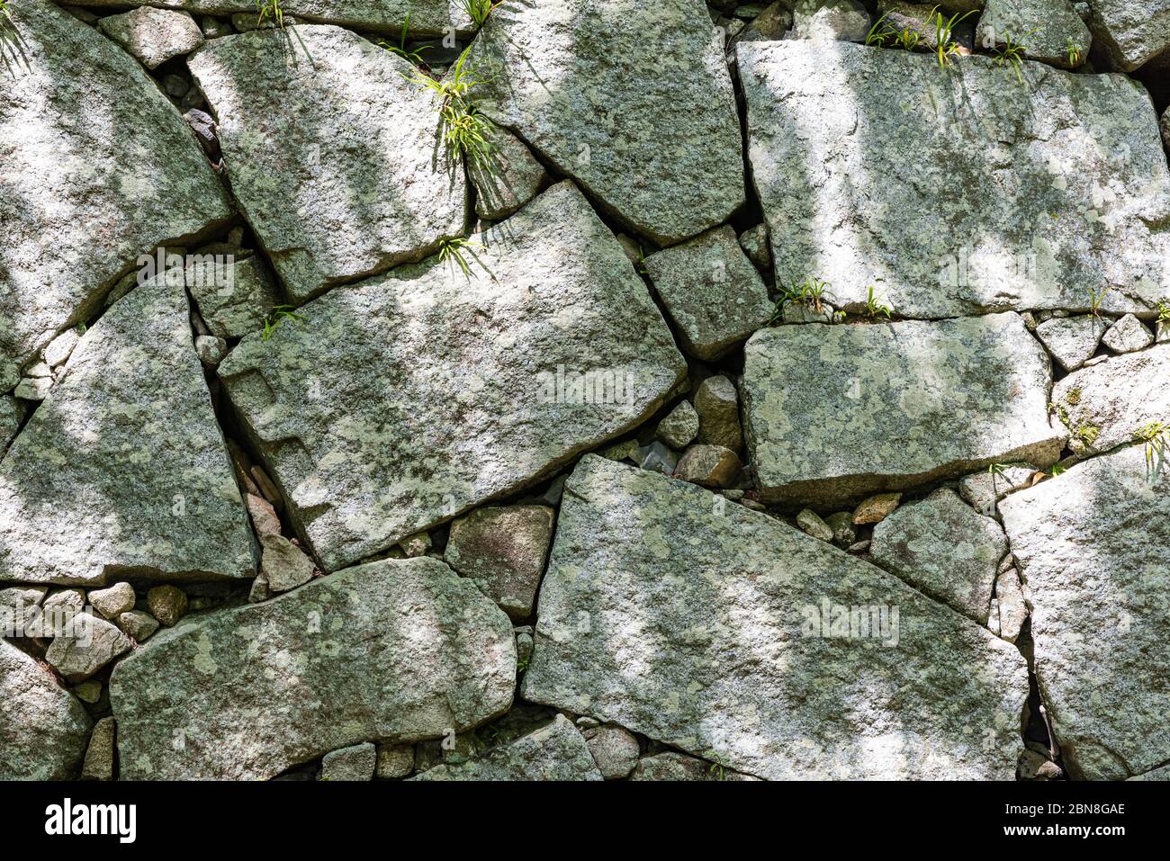 japanische Burg Stein Wand Klette Piling 'ishigaki', Karatsu Burg, Japan, Hintergrundstruktur Stockfoto