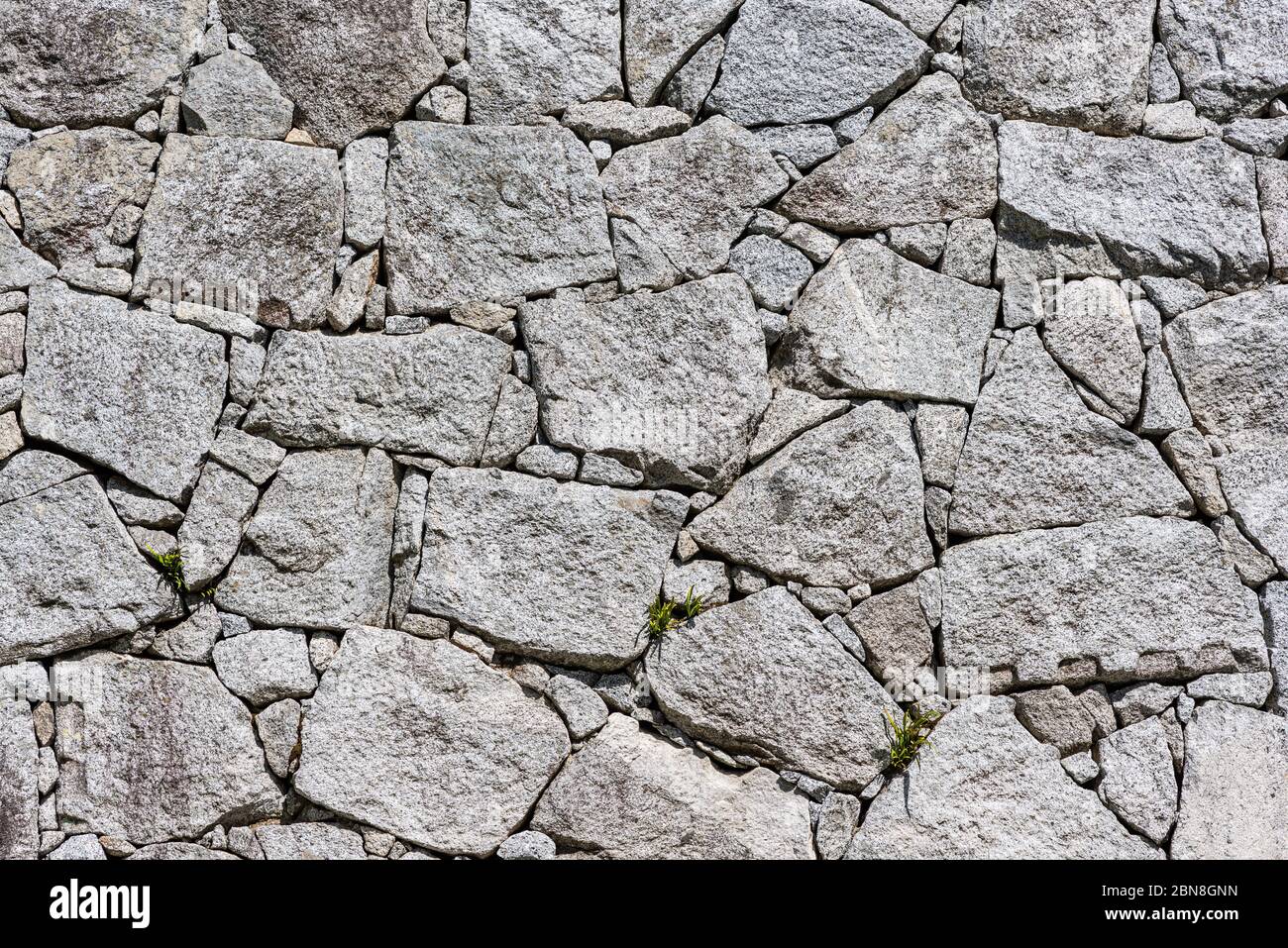 japanische Burg Stein Wand Klette Piling 'ishigaki', Karatsu Burg, Japan, Hintergrundstruktur Stockfoto