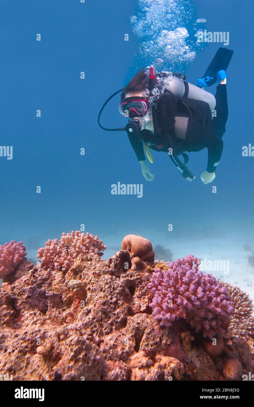 Junger Mann, der im blauen Meer mit Korallenriff taucht Stockfoto