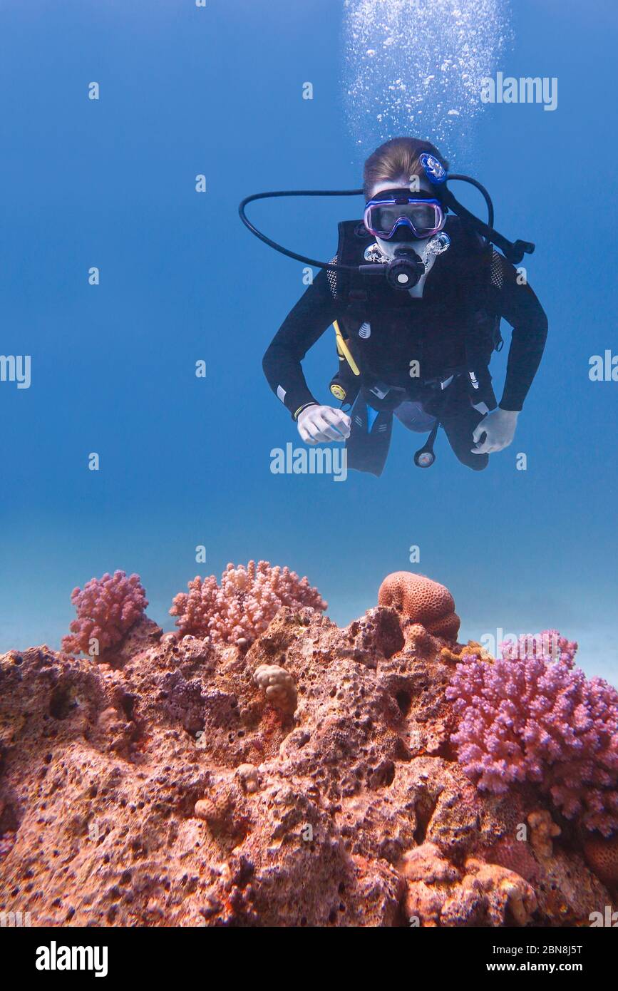 Junger kaukasischer Mann, der im blauen Meer mit rosa Korallen taucht Stockfoto