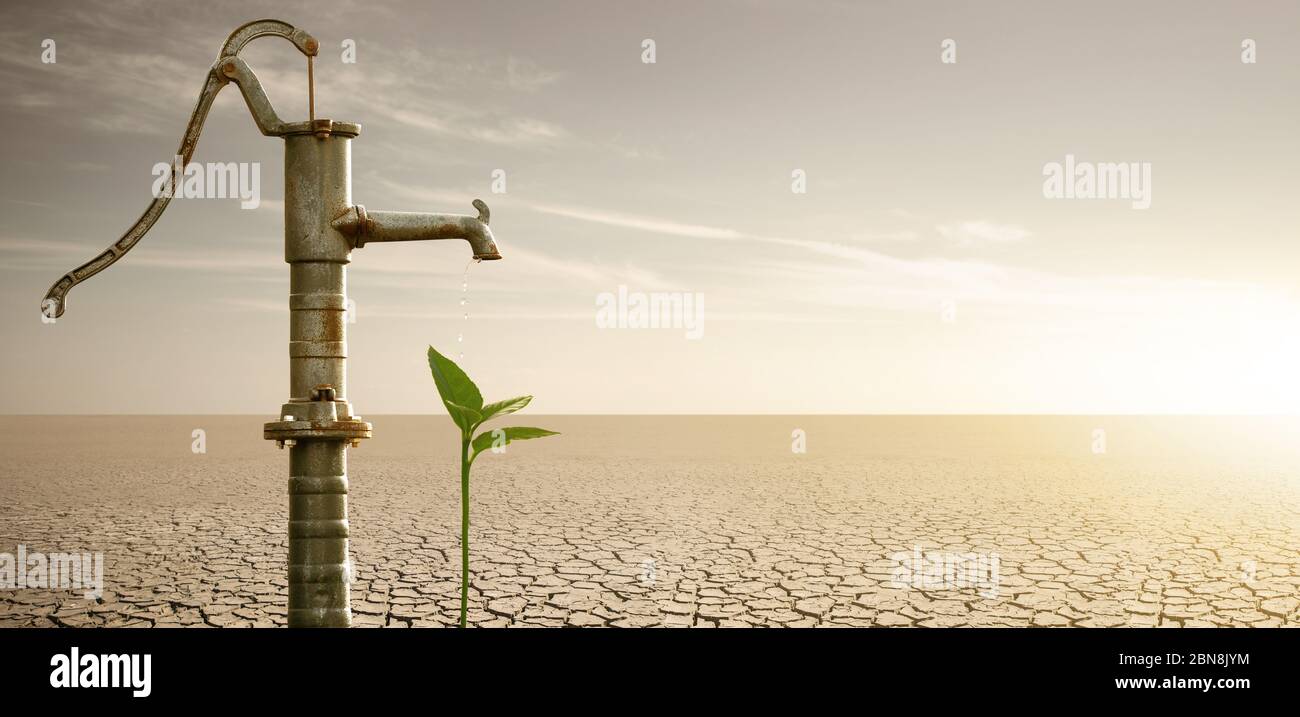 Wasser fließt von der rostigen Wasserpumpe zur Pflanze in der Wüste. Dürre und Wasserknappheit durch die globale Erwärmung Stockfoto