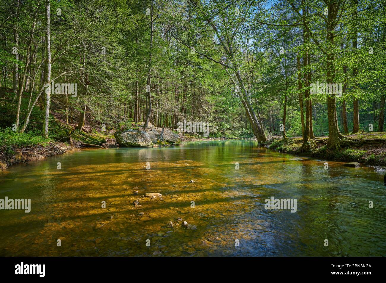 Fließender Bach mit Bäumen und großem Felsbrocken im Osten von Kentucky. Stockfoto