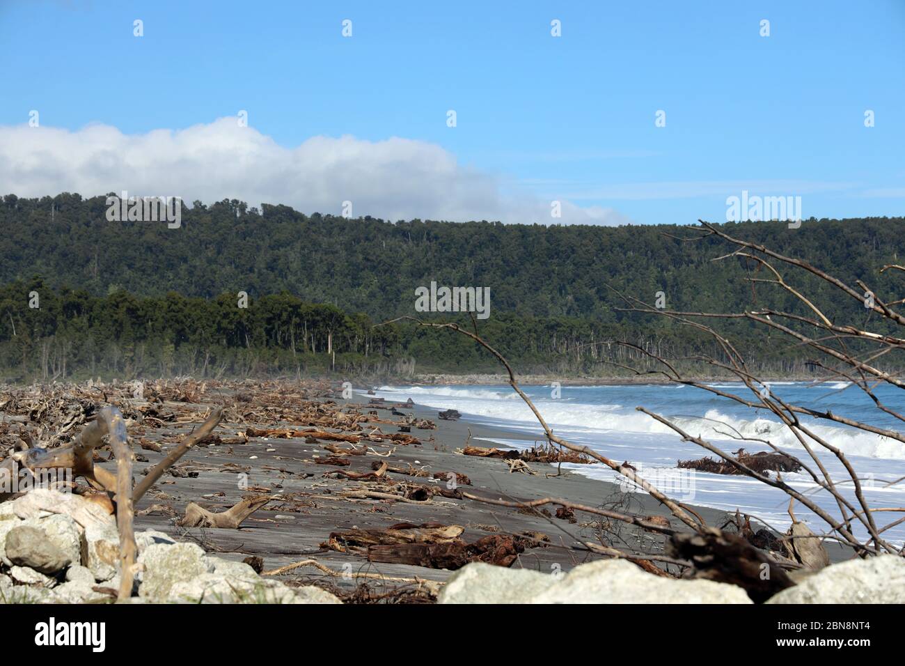 Treibholz am Strand. Die zerklüftete, wilde Westküste von South Island, Neuseeland fast mit gebrochenen Bäumen bedeckt. Keine Leute. Stockfoto