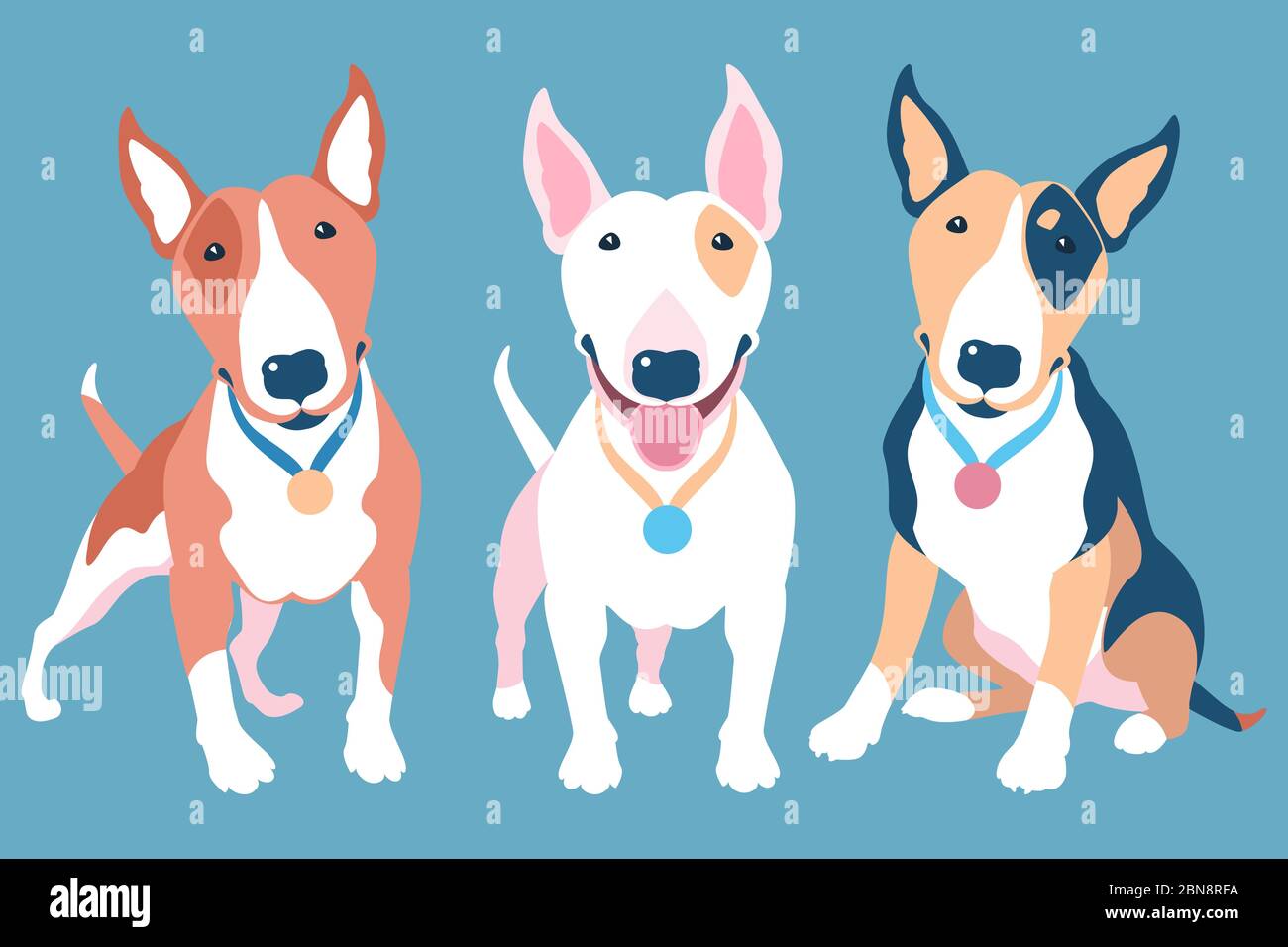 Vektor-Set von Bull Terrier Hunde in verschiedenen typischen Farben  Stock-Vektorgrafik - Alamy
