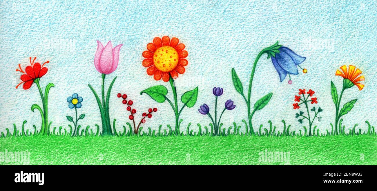 Handgezeichnete Illustration der Wiese voller Blumen Stockfotografie