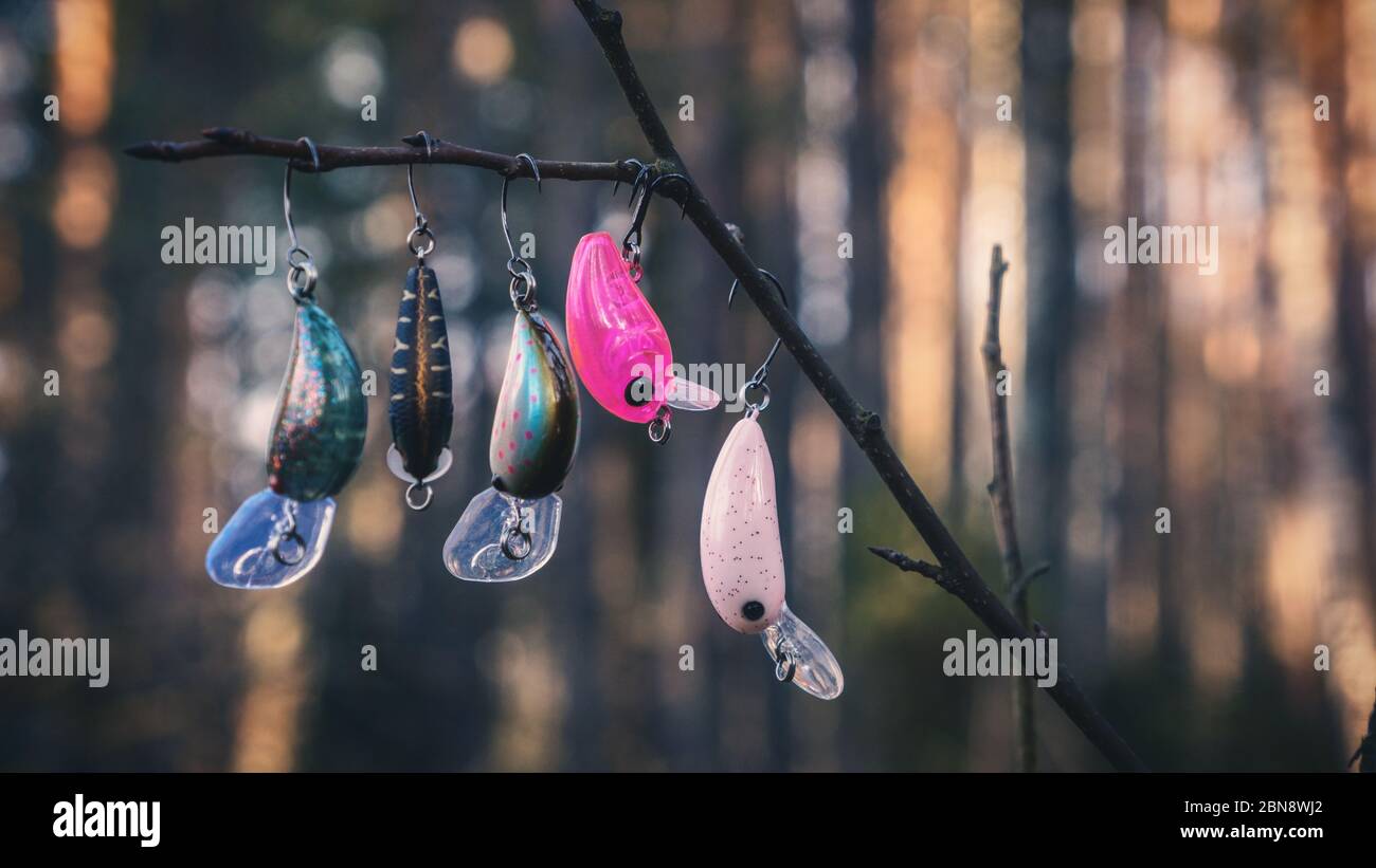 Minsk Region Weißrussland - 20. Februar 2020: Strikepro Marke Angelköder. Stockfoto