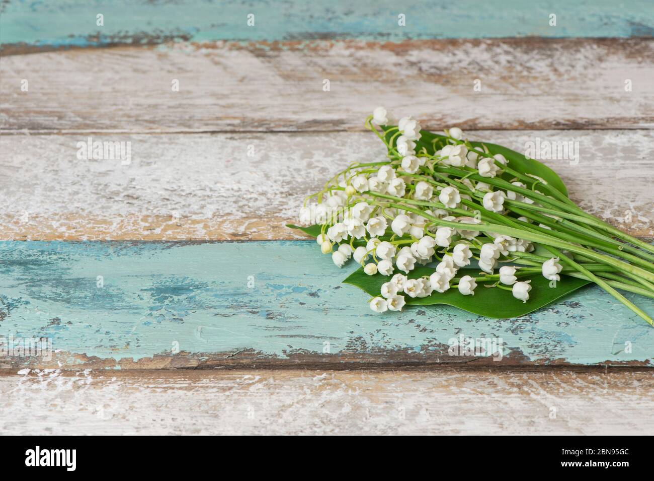 Maiglöckchen blüht auf rustikalem Holzhintergrund Stockfoto