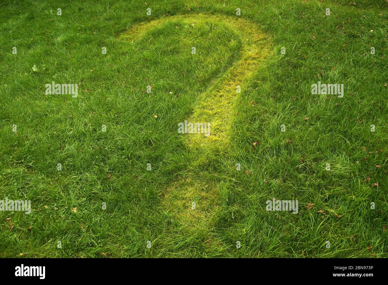 Fragezeichen im Rasen gemäht. Grüner Rasen Stockfotografie Alamy