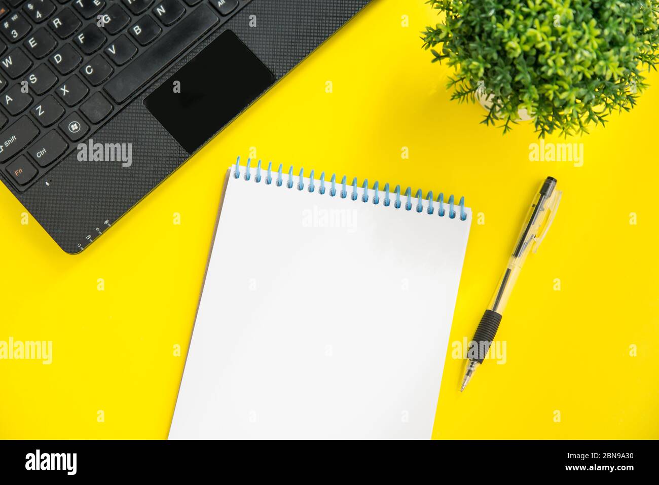 Draufsicht Mockup von Laptop, grüne Pflanze, Stift und Notizblock auf gelbem Hintergrund. Planungskonzept mit Kopierraum Stockfoto