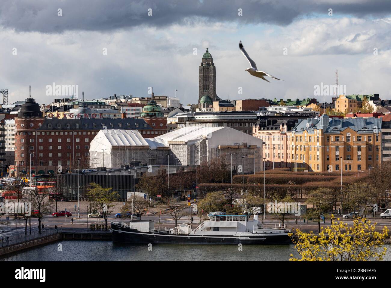 Blick aus dem Blickfeld auf den Stadtteil Hakaniemi mit der Kallio-Kirche in der Ferne und einer fliegenden Möwe in Helsinki, Finnland Stockfoto