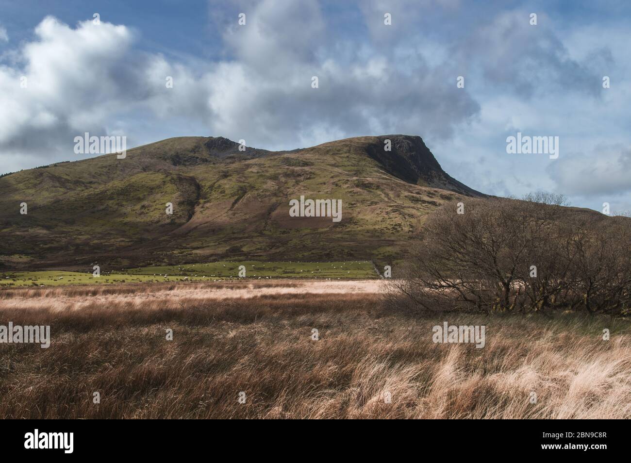 Snowdonia National Park Wales Welsh Berge Berglandschaft Blick Felsen launisch neblig Stockfoto