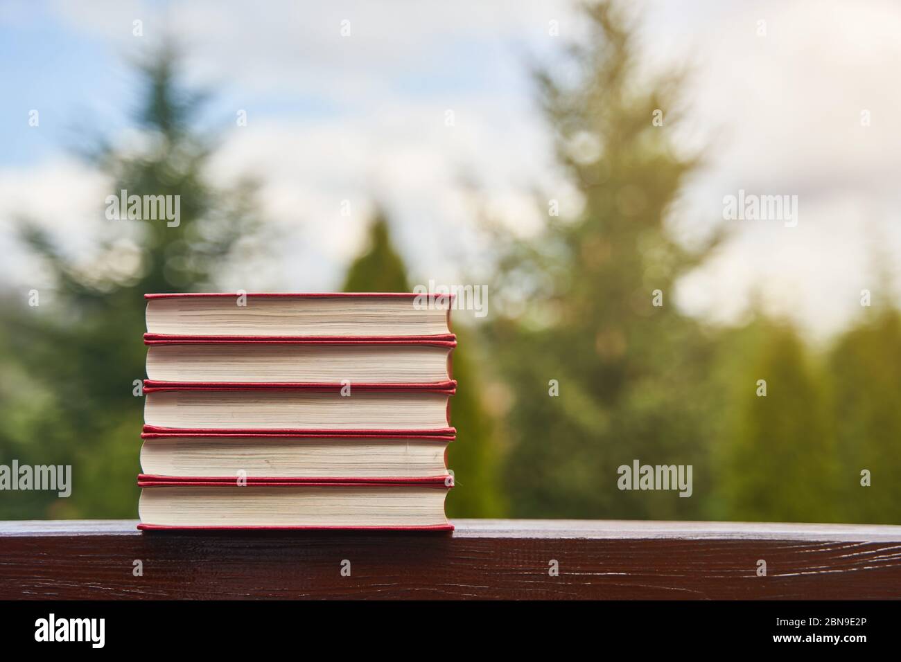 Sammlung von verschiedenen Büchern auf verschwommenem grünen Hintergrund, Platz für Text Stockfoto