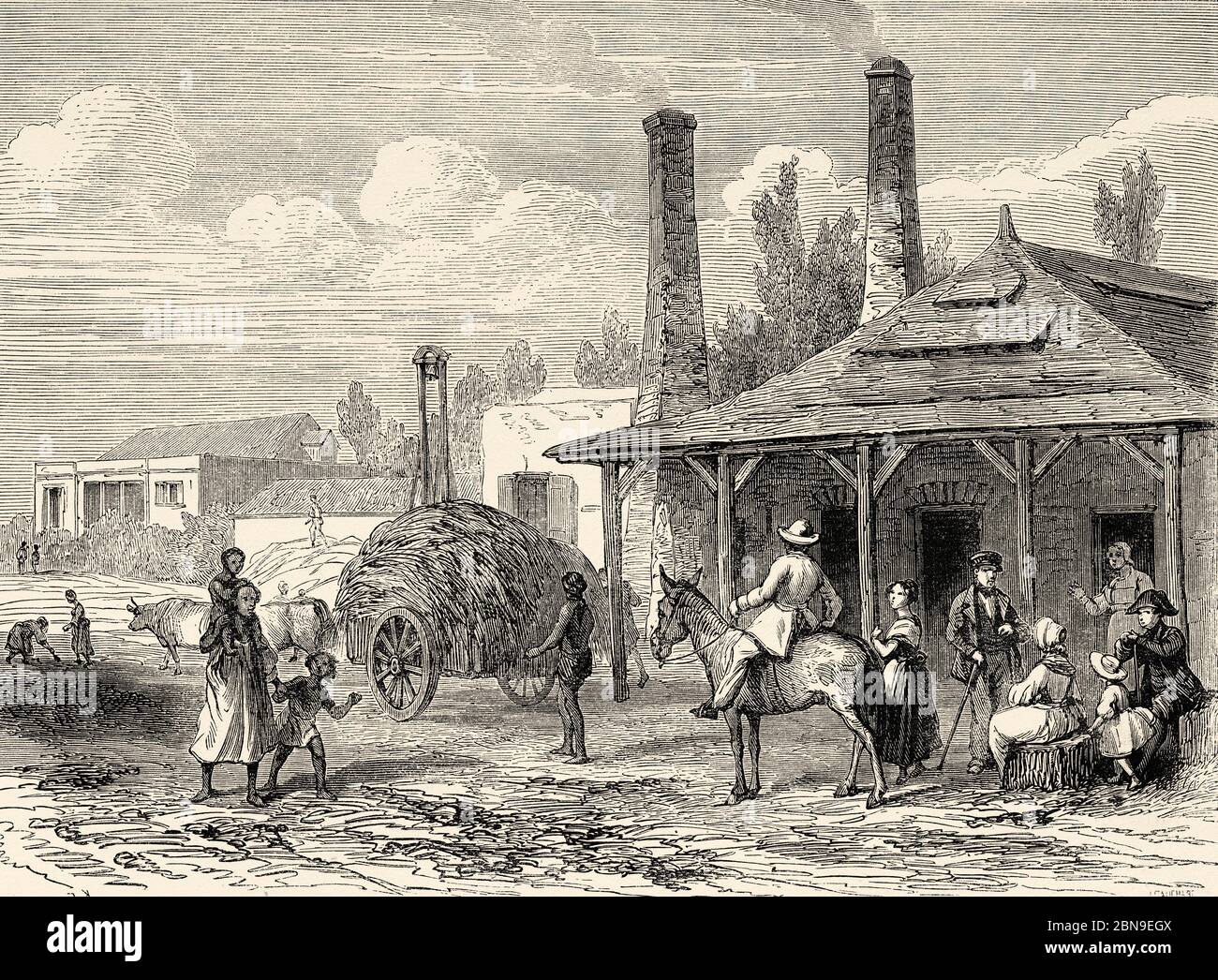 Alte Zuckerrohrfabrik, Insel Mauritius. Mascarene Islands Südafrika, Alte Grafik aus dem 19. Jahrhundert, Le Tour du Monde 1863 Stockfoto