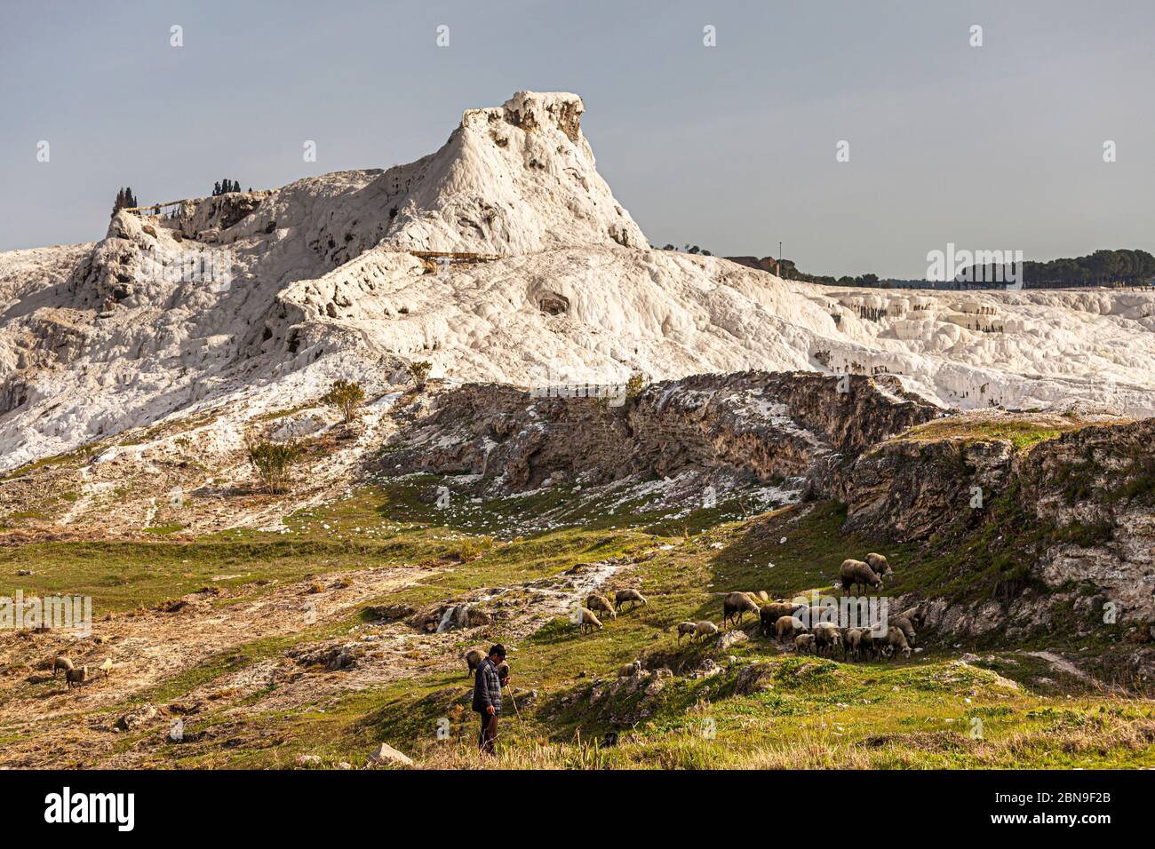 Kalksteinfelsen in Pamukkale, Türkei Stockfoto