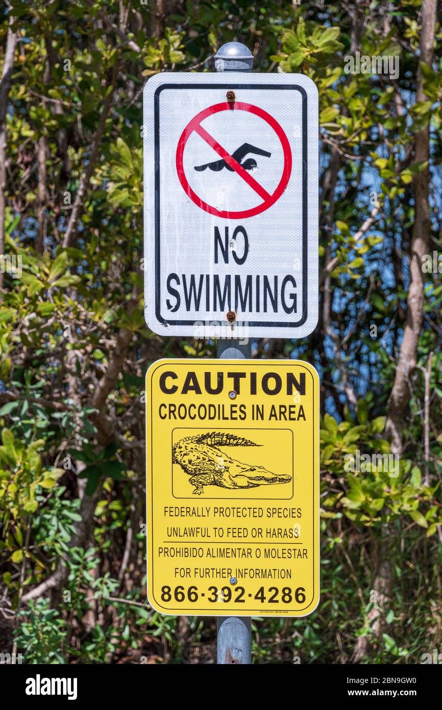 Kein Schwimmen, Krokodile in der Gegend Warnschild - Hollywood, Florida, USA Stockfoto