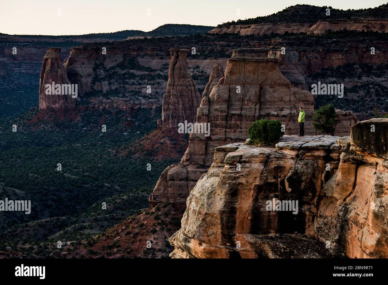 Eine junge Frau genießt einen Blick über Colorado National Monument in CO. Stockfoto