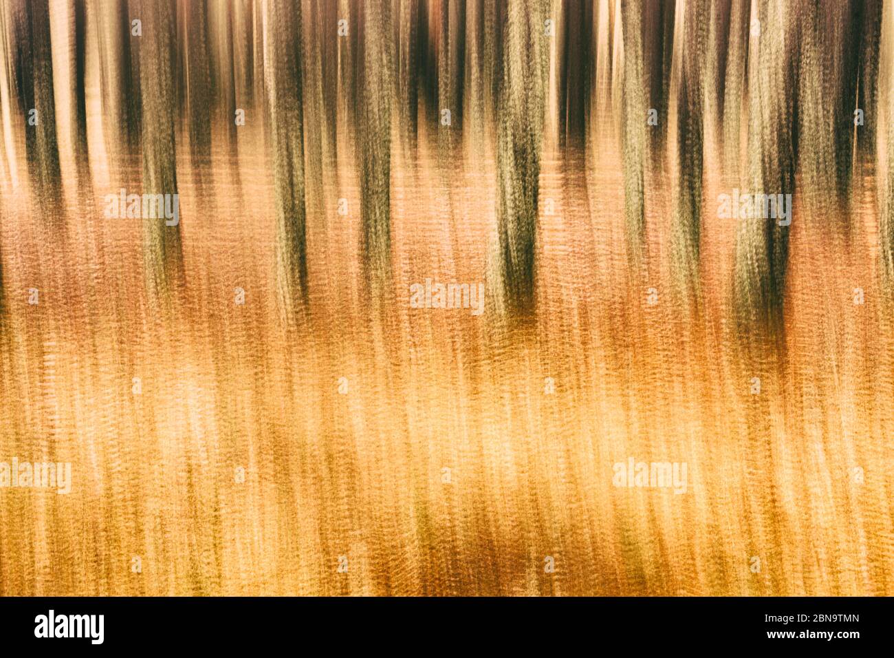 Quelle des Flusses Cuervo, Vega del Codorno, Serranía de Cuenca, Cuenca Provinz, Region Kastilien-La Mancha, Spanien, Europa Stockfoto