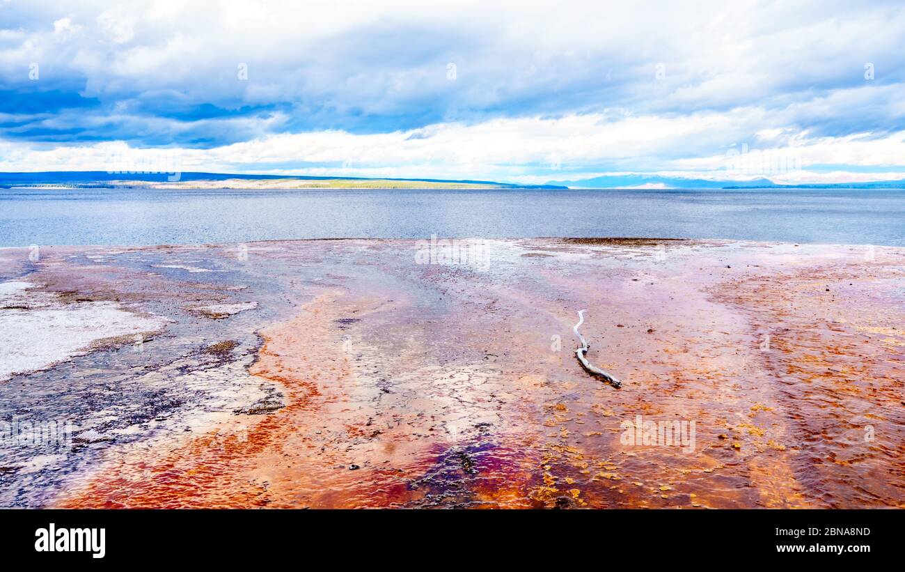 Die rote Bakterienmatte, die von Geyser Water kreiert wurde, das vom Black Pool Geyser in den Yellowstone Lake im West Thumb Geyser Basin, USA fließt Stockfoto