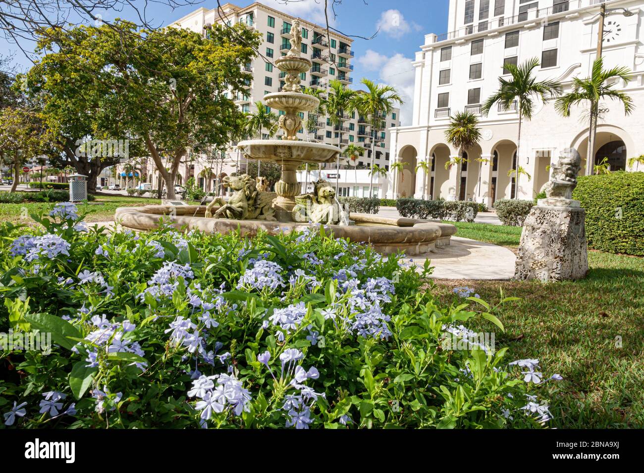 Miami Florida, Coral Gables, Ponce de Leon Boulevard, Gedenkparkbrunnen, steinerne Pferdeskulpturen, Wasser, Landschaftsgestaltung, Blumen, Strauch, Blue Plumbago, Pl Stockfoto