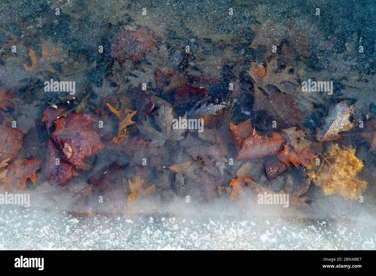 Der Herbst geht in einem gefrorenen See aus. Stockfoto