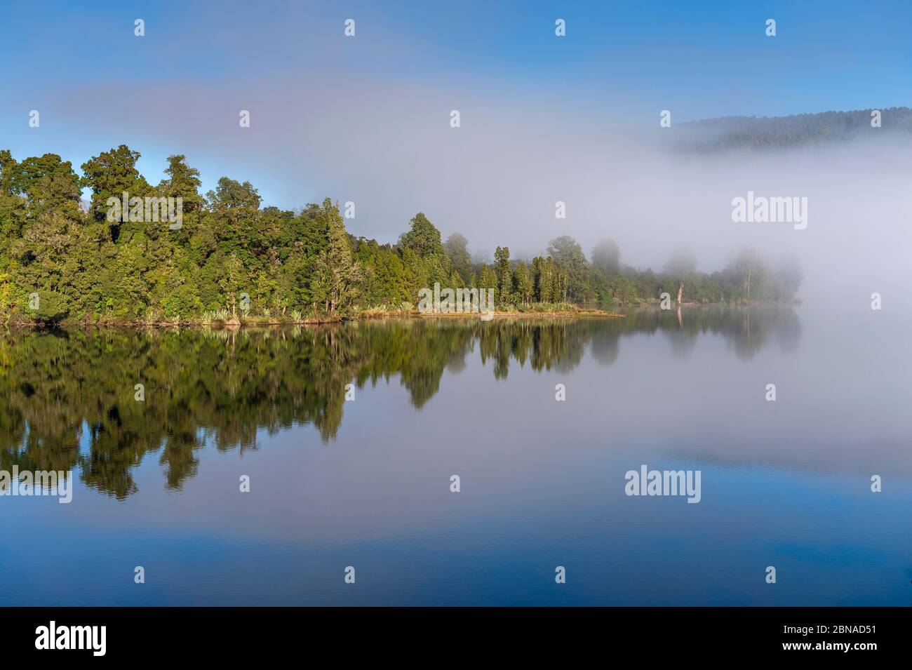 Subtropischer Wald unter blauem Himmel mit Nebel, der sich in der Okarito Lagune, Westland Nationalpark, Whataroa, Westküste, Neuseeland, Ozeanien widerspiegelt Stockfoto