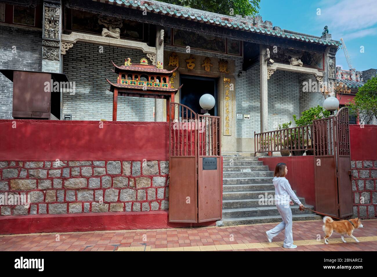 Frau, die mit ihrem Hund am Seng Wong Tempel spazieren geht. Macau, China. Stockfoto