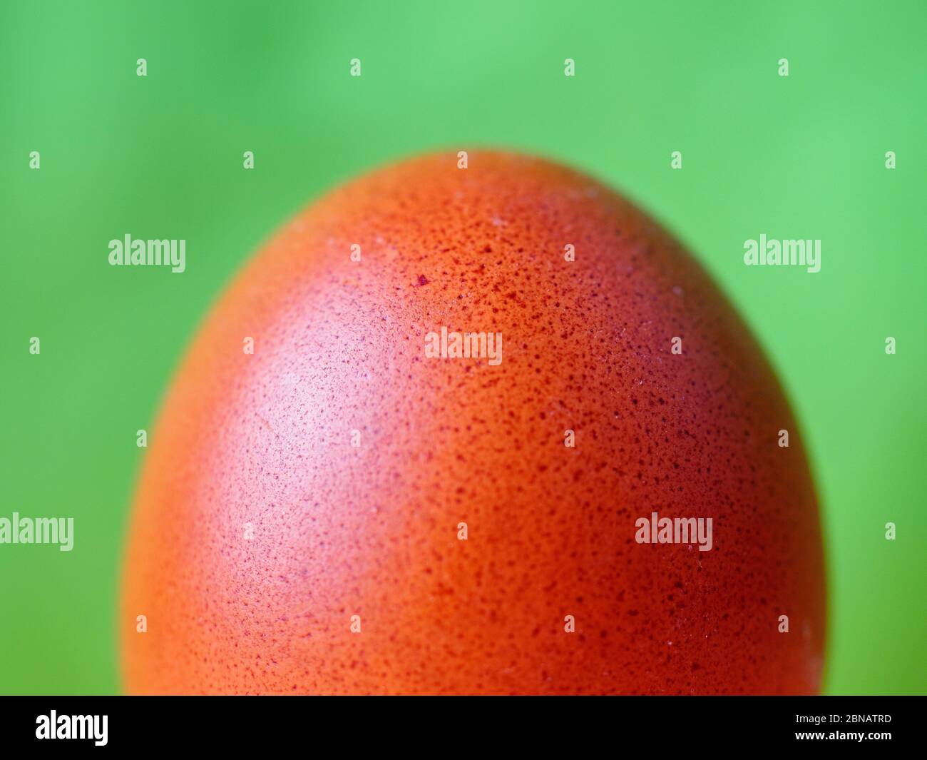 Ei Stockfoto