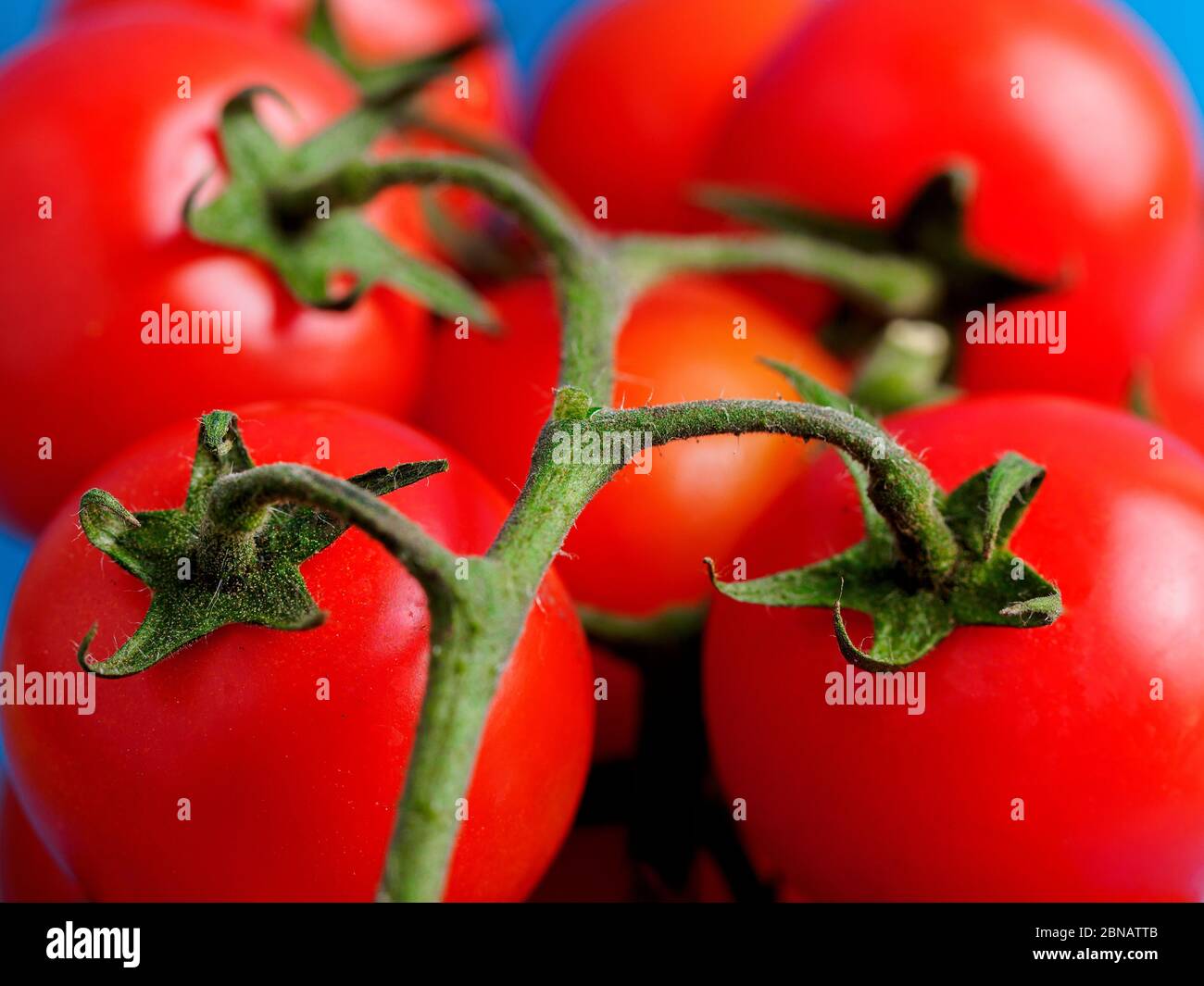 Cherry-Tomaten Stockfoto