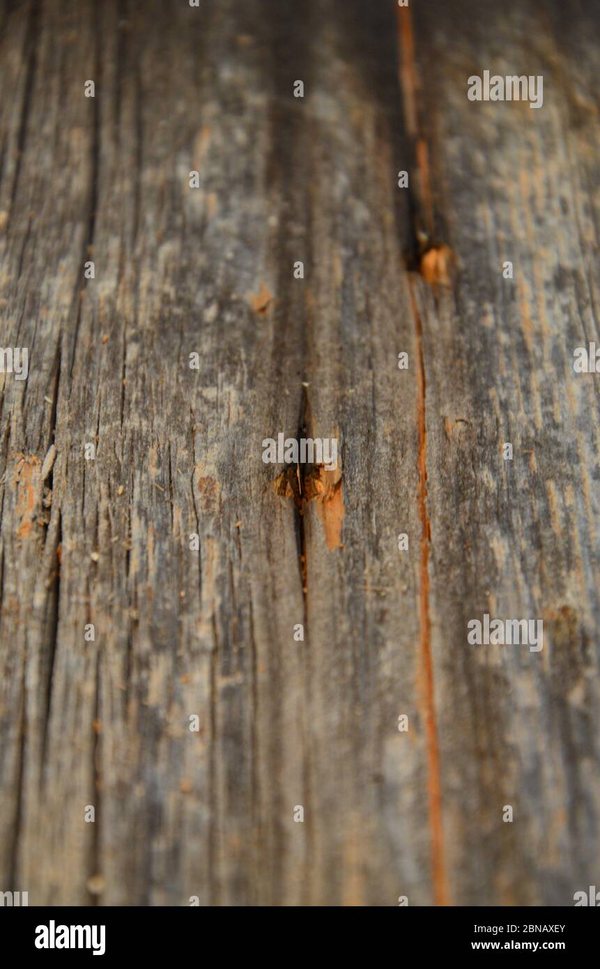 Dunkles Holz Textur Hintergrund Oberfläche mit alten natürlichen Muster Stockfoto