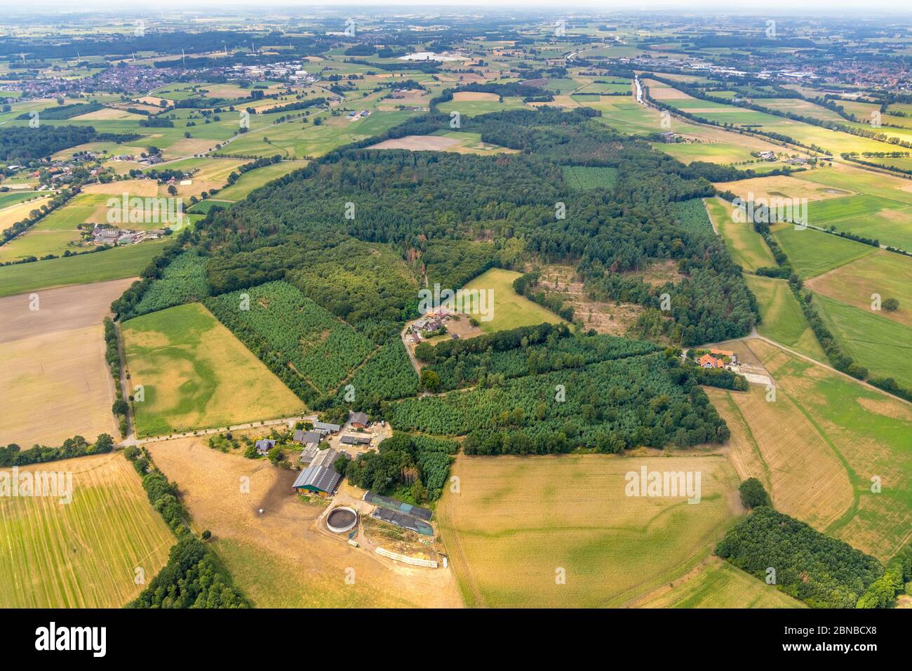 Schuettensteinwald bei Werth, 08/01/2019, Luftaufnahme, Deutschland, Nordrhein-Westfalen, Isselburg Stockfoto