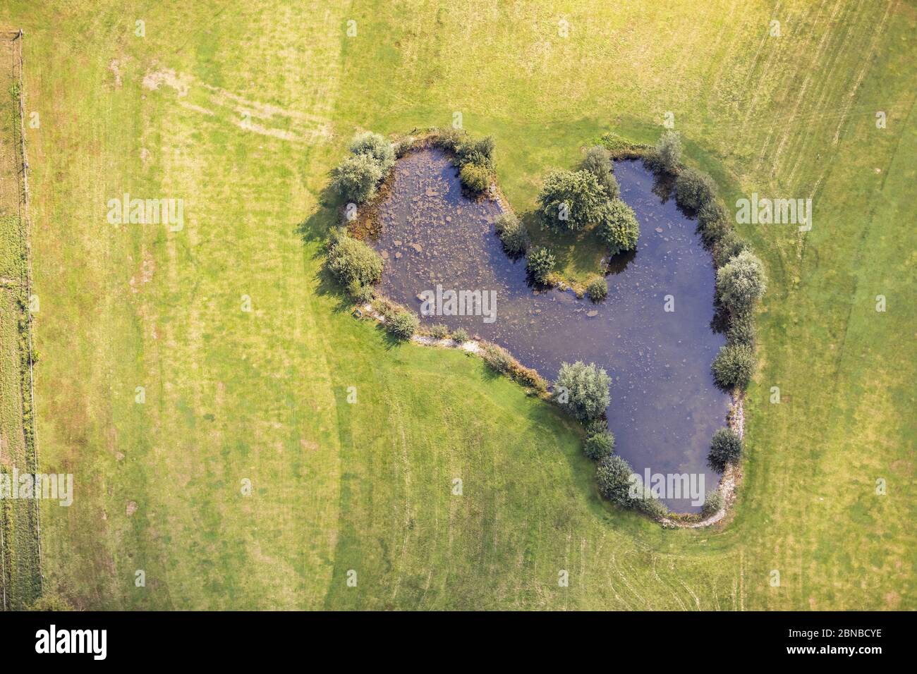 , Teich in Emmerich am Rhein, 03.09.2017, Luftaufnahme, Deutschland, Nordrhein-Westfalen, Emmerich am Rhein Stockfoto