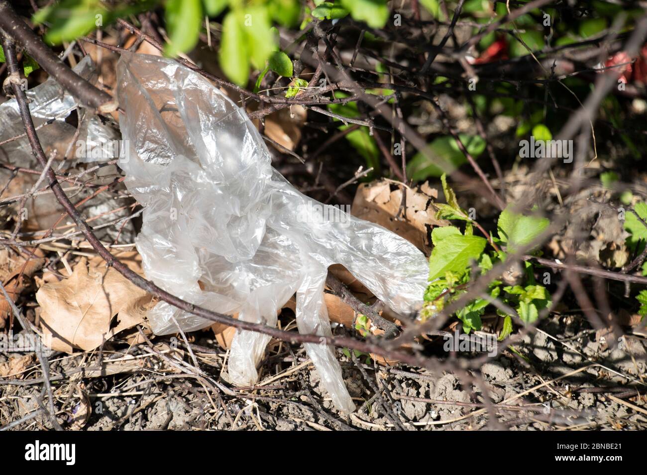 Sheffield UK – April 15 2020: Verlassene weiße Gummihandschuhe, die auf dem Boden entsorgt werden, werden während der Coronavirus Covid-19-Pandemie zu Müll Stockfoto