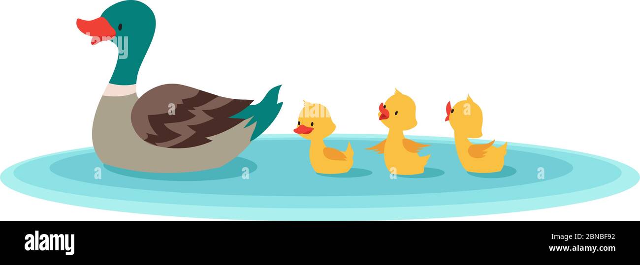 Mutter Ente und kleine Enten im Wasser. Entlein schwimmen in Reihe. Cartoon Vektor Illustration. Entlein Vogel Tier auf Landschaft Wasser Teich Stock Vektor